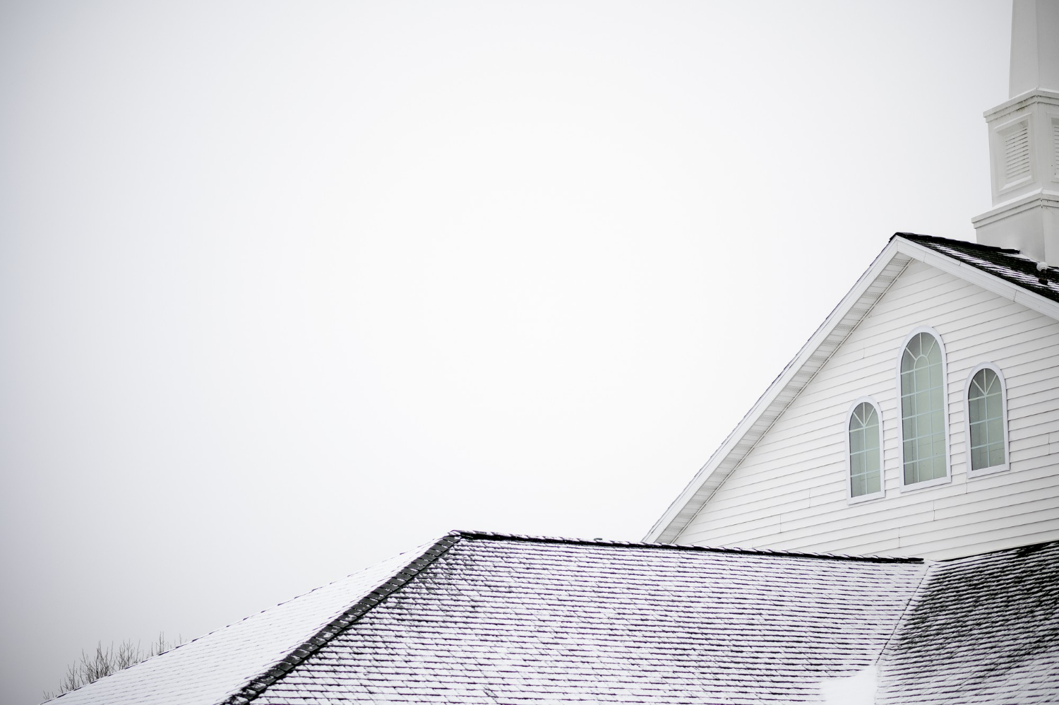 asphalt shingle roof