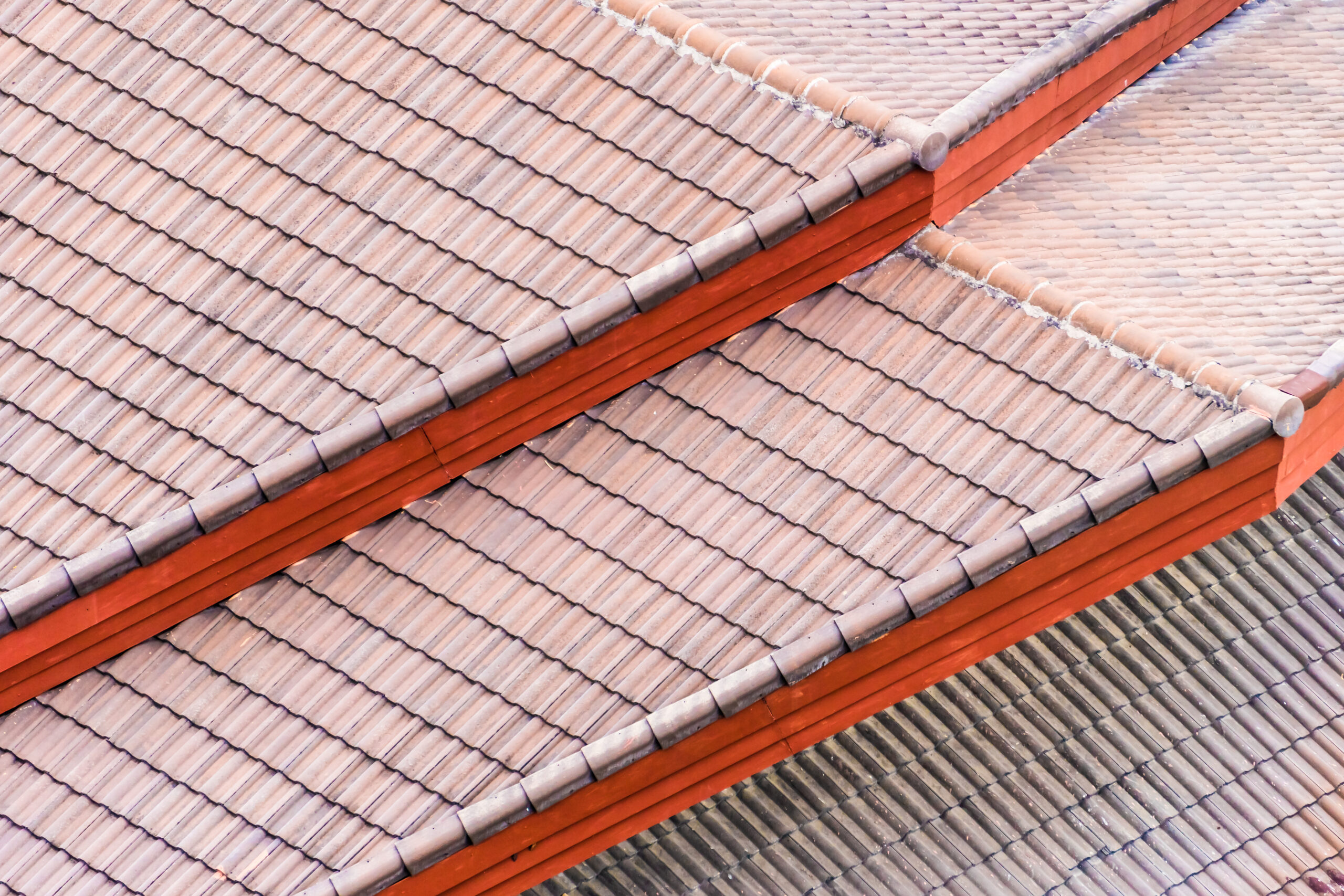 shingle roof